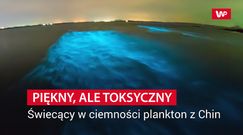 Wykorzystali 1000 obrazów. Odkryli niepokojącą tendencję