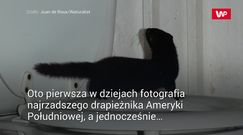 Wszedł do toalety, a tam... Zwierzę identyfikowali 7 lat