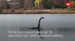 Zbadali DNA Loch Ness. Dokonali zaskakującego odkrycia