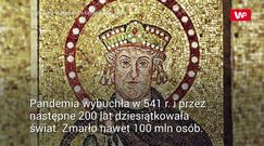 Dekodują śmiercionośny genom. Są na tropie odwiecznej tajemnicy