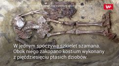Odkryli groby sprzed 5 tys. lat. Znaleźli "kołnierz" z ptasich dziobów