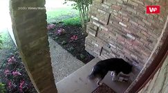 Niespodziewany złodziej. Musiała ładnie pachnieć