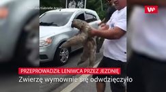 Zobaczył go na środku drogi. Rozczulające wideo