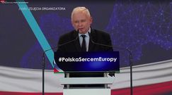 Jarosław Kaczyński wskazuje obrońców pedofilów: to PO i jej sojusznicy