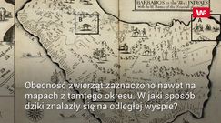 Zdumiewające odkrycie na wyspie. Zagadka sprzed niemal 400 lat wyjaśniona