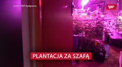 Policja zdębiała, gdy zobaczyła, co znajduje się za szafą