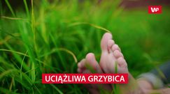 Dopada głównie latem. Trudna do wyleczenia choroba