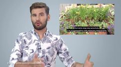 Władze Warszawy zamieniły parking w skład drewna