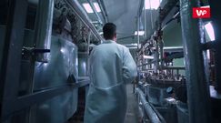 Lustrzany wszechświat. Czy istnieje naprawdę?