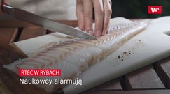 Rtęć w rybach. Naukowcy alarmują