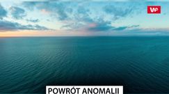 Powrót groźnej anomalii na Pacyfiku