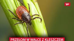 Przełom w walce z kleszczami