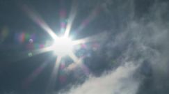 Fale upałów będą coraz częstsze. Szwajcarzy opublikowali wyniki badań