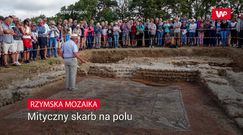 Rzymska mozaika. Mityczny skarb na polu