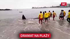 Dramat na plaży