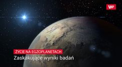 Życie na egzoplanetach. Zaskakujące wyniki badań