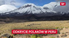 Wielkie odkrycie Polaków w Peru