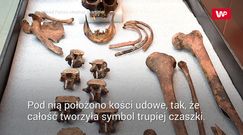 Wyciągnęli kości i zamarli. Makabryczny widok