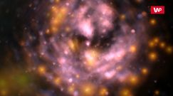 Naukowcy przecierali oczy ze zdumienia. Pomylił ją z gwiazdą