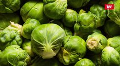 Właściwości zdrowotne brukselki