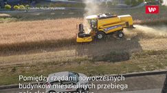 Żniwa na środku osiedla w Lublinie