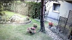 Policja publikuje wizerunek podejrzanego o włamanie