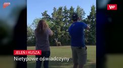 Nietypowe oświadczyny