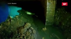 Zbadali skład "potwora". Eksperci nie mogli uwierzyć własnym oczom