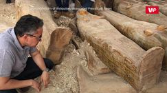 "Największe i najważniejsze odkrycie ostatnich lat". Sensacja w Egipcie