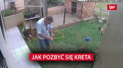 Pokazał, jak poradzić sobie z kretem. Nie tego się spodziewał