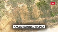 Akcja ratunkowa psa