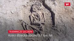 Badacze odkryli przedziwne szczątki