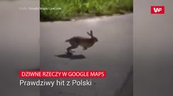 Dziwne rzeczy na Google Maps. Prawdziwy hit z Polski