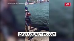 Zaskakujący połów. Wędkarz musiał sobie zrobić zdjęcie