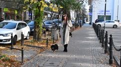 Rusin i Kraśko wyprowadzają Czarka na spacer