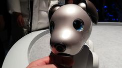 CES 2019: Sony Aibo