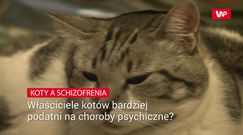 Właściciele kotów bardziej podatni na choroby psychiczne? 