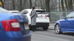 Bołądź w zielonych dzwonach główkuje przy parkometrze  