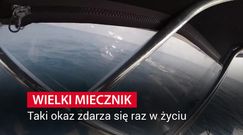 Złowił wielkiego miecznika