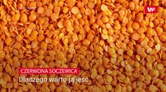 Czerwona soczewica. Dlaczego warto ją jeść