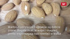 Cenne właściwości mleka migdałowego