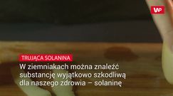 Trująca solanina w ziemniakach