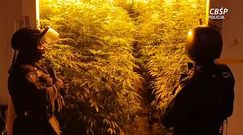 Gang "Braciaków" rozbity w Hiszpanii. Aresztowano dwóch braci