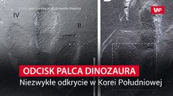 Jedyne takie odkrycie na świecie. Poruszenie wśród naukowców