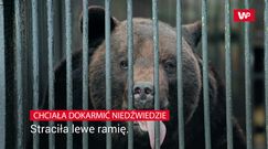 Chciała dokarmić niedźwiedzie. Straciła ramię