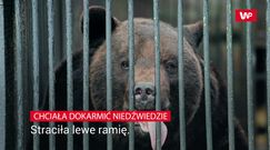 Chciała dokarmić niedźwiedzie. Straciła ramię