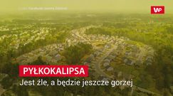 Alergicy mają przekichane. Badania naukowców nie pozostawiają wątpliwości