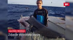 Zdjęcie rekina wywołało burzę. Lawina komentarzy ekspertów