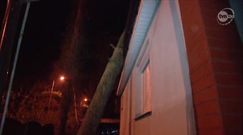 100 tys. osób bez prądu - skutki 'Ksawerego' nad Polską