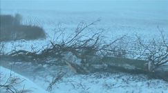 Strażacy ostrzegają przed 'Ksawerym'